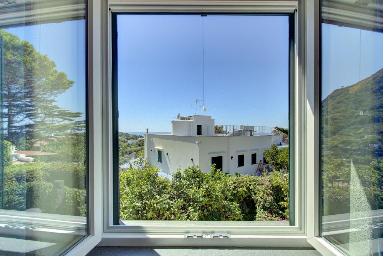 Lacco Terrace Solarium Lacco Ameno  Zewnętrze zdjęcie