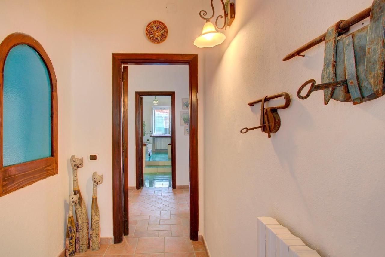 Lacco Terrace Solarium Lacco Ameno  Zewnętrze zdjęcie