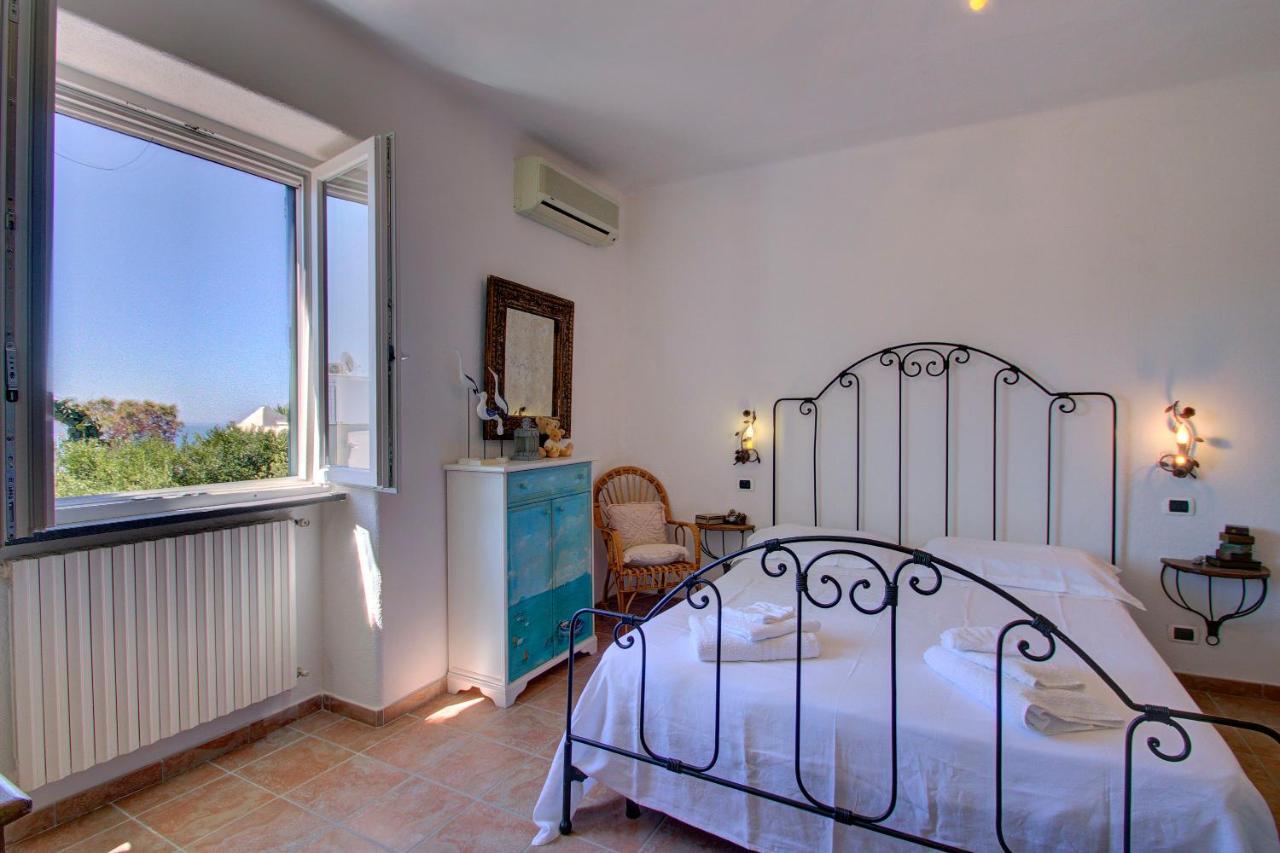 Lacco Terrace Solarium Lacco Ameno  Zewnętrze zdjęcie