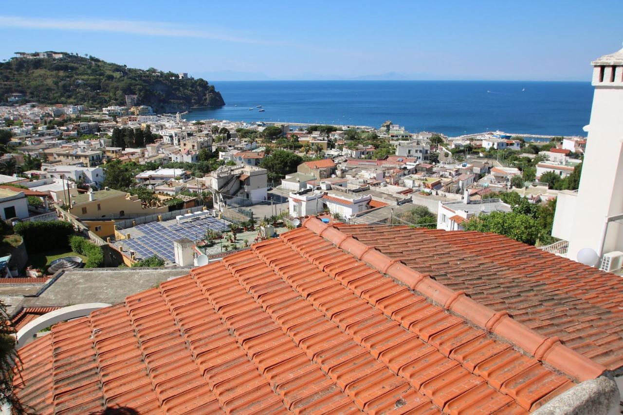Lacco Terrace Solarium Lacco Ameno  Zewnętrze zdjęcie