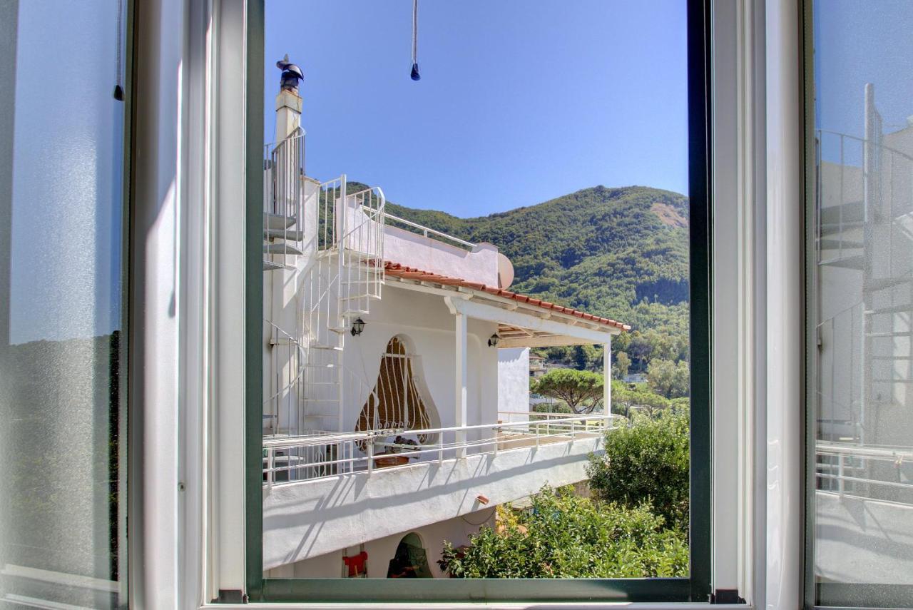 Lacco Terrace Solarium Lacco Ameno  Zewnętrze zdjęcie
